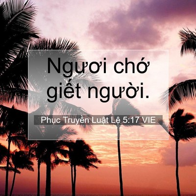 Picture 07 - Phục Truyền Luật Lệ 5:17 VIE - Ngươi chớ giết - Bible Verse Picture