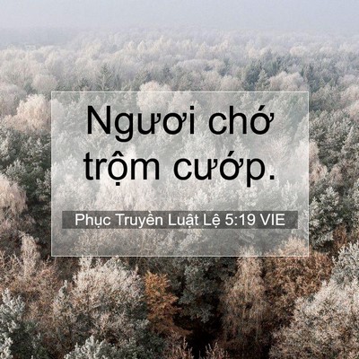 Picture 07 - Phục Truyền Luật Lệ 5:19 VIE - Ngươi chớ trộm - Bible Verse Picture