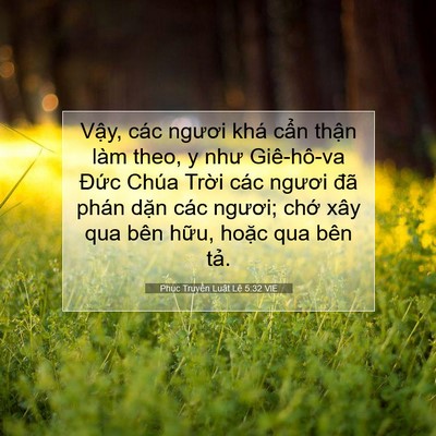 Picture 07 - Phục Truyền Luật Lệ 5:32 VIE - Vậy, các ngươi khá cẩn thận làm theo, - Bible Verse Picture