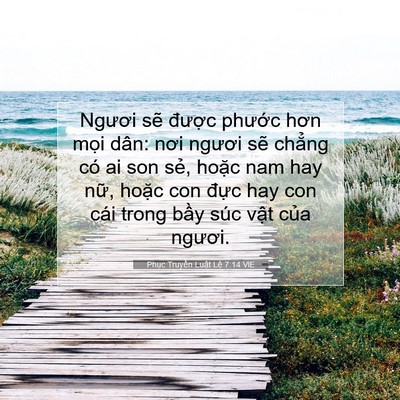 Picture 07 - Phục Truyền Luật Lệ 7:14 VIE - Ngươi sẽ được phước hơn mọi dân: - Bible Verse Picture