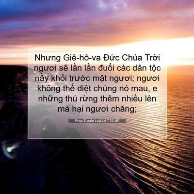 Picture 07 - Phục Truyền Luật Lệ 7:22 VIE - Nhưng Giê-hô-va Đức Chúa Trời ngươi - Bible Verse Picture