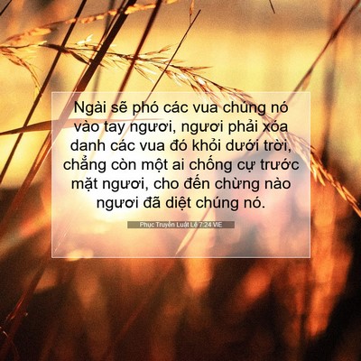Picture 07 - Phục Truyền Luật Lệ 7:24 VIE - Ngài sẽ phó các vua chúng nó vào tay - Bible Verse Picture
