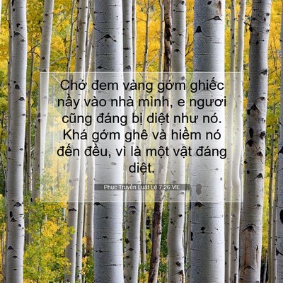Picture 07 - Phục Truyền Luật Lệ 7:26 VIE - Chớ đem vàng gớm ghiếc nầy vào nhà - Bible Verse Picture