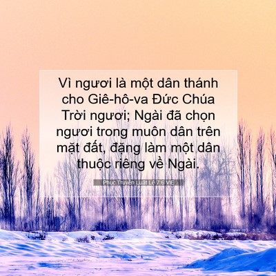 Picture 07 - Phục Truyền Luật Lệ 7:6 VIE - Vì ngươi là một dân thánh cho Giê-hô-va - Bible Verse Picture