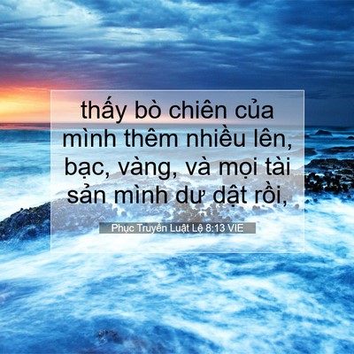 Picture 07 - Phục Truyền Luật Lệ 8:13 VIE - thấy bò chiên của mình thêm nhiều lên, - Bible Verse Picture