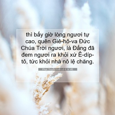 Picture 07 - Phục Truyền Luật Lệ 8:14 VIE - thì bấy giờ lòng ngươi tự cao, quên - Bible Verse Picture