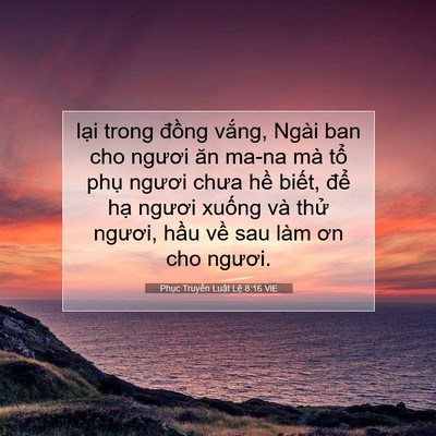 Picture 07 - Phục Truyền Luật Lệ 8:16 VIE - lại trong đồng vắng, Ngài ban cho ngươi - Bible Verse Picture