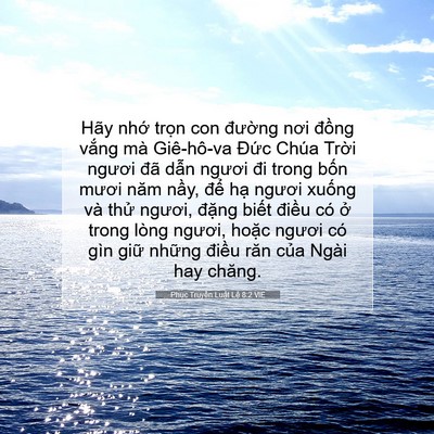Picture 07 - Phục Truyền Luật Lệ 8:2 VIE - Hãy nhớ trọn con đường nơi đồng - Bible Verse Picture