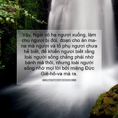 Picture 07 - Phục Truyền Luật Lệ 8:3 VIE - Vậy, Ngài có hạ ngươi xuống, làm cho - Bible Verse Picture