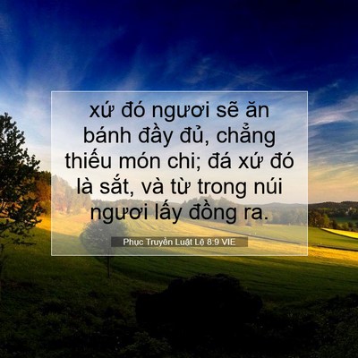 Picture 07 - Phục Truyền Luật Lệ 8:9 VIE - xứ đó ngươi sẽ ăn bánh đầy đủ, - Bible Verse Picture