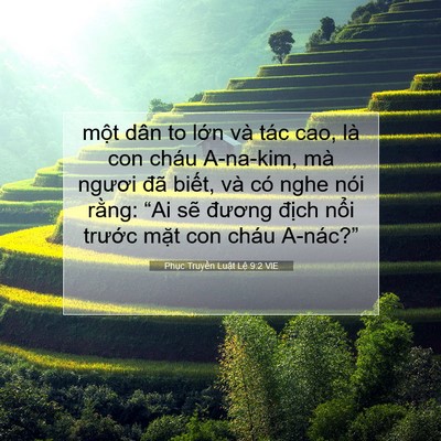 Picture 07 - Phục Truyền Luật Lệ 9:2 VIE - một dân to lớn và tác cao, là con cháu - Bible Verse Picture