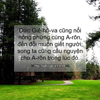 Picture 07 - Phục Truyền Luật Lệ 9:20 VIE - Đức Giê-hô-va cũng nổi nóng phừng - Bible Verse Picture