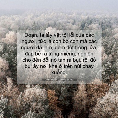 Picture 07 - Phục Truyền Luật Lệ 9:21 VIE - Đoạn, ta lấy vật tội lỗi của các - Bible Verse Picture