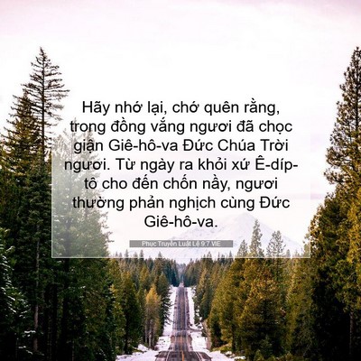 Picture 07 - Phục Truyền Luật Lệ 9:7 VIE - Hãy nhớ lại, chớ quên rằng, trong - Bible Verse Picture