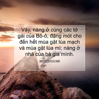 Picture 07 - Ru-tơ 2:23 VIE - Vậy, nàng ở cùng các tớ gái của - Bible Verse Picture