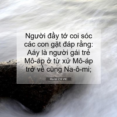 Picture 07 - Ru-tơ 2:6 VIE - Người đầy tớ coi sóc các con gặt - Bible Verse Picture