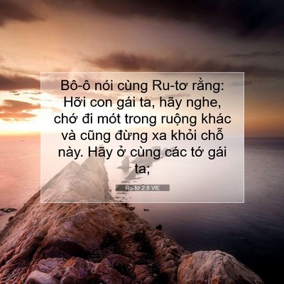 Picture 07 - Ru-tơ 2:8 VIE - Bô-ô nói cùng Ru-tơ rằng: Hỡi con gái - Bible Verse Picture