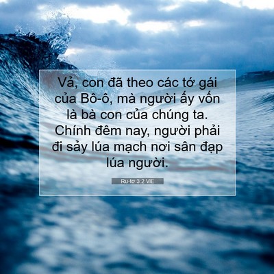 Picture 07 - Ru-tơ 3:2 VIE - Vả, con đã theo các tớ gái của Bô-ô, - Bible Verse Picture