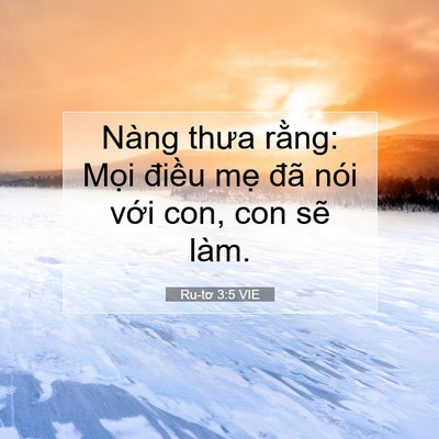 Picture 07 - Ru-tơ 3:5 VIE - Nàng thưa rằng: Mọi điều mẹ đã nói - Bible Verse Picture