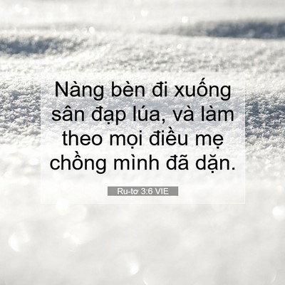 Picture 07 - Ru-tơ 3:6 VIE - Nàng bèn đi xuống sân đạp lúa, và làm - Bible Verse Picture
