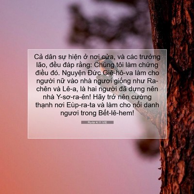 Picture 07 - Ru-tơ 4:11 VIE - Cả dân sự hiện ở nơi cửa, và các - Bible Verse Picture