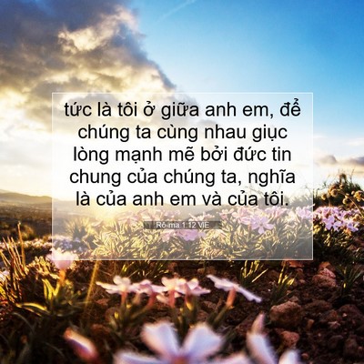 Picture 07 - Rô-ma 1:12 VIE - tức là tôi ở giữa anh em, để chúng ta - Bible Verse Picture