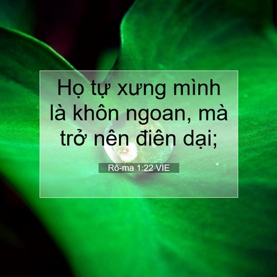 Picture 07 - Rô-ma 1:22 VIE - Họ tự xưng mình là khôn ngoan, mà trở - Bible Verse Picture