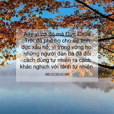 Picture 07 - Rô-ma 1:26 VIE - Aáy vì cớ đó mà Đức Chúa Trời đã - Bible Verse Picture