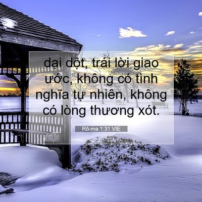 Picture 07 - Rô-ma 1:31 VIE - dại dột, trái lời giao ước, không có - Bible Verse Picture