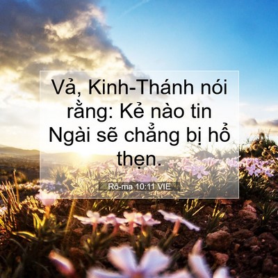 Picture 07 - Rô-ma 10:11 VIE - Vả, Kinh-Thánh nói rằng: Kẻ nào tin - Bible Verse Picture