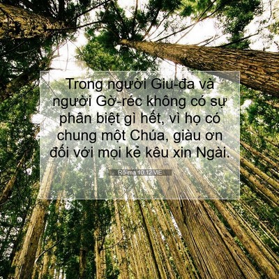 Picture 07 - Rô-ma 10:12 VIE - Trong người Giu-đa và người Gờ-réc - Bible Verse Picture