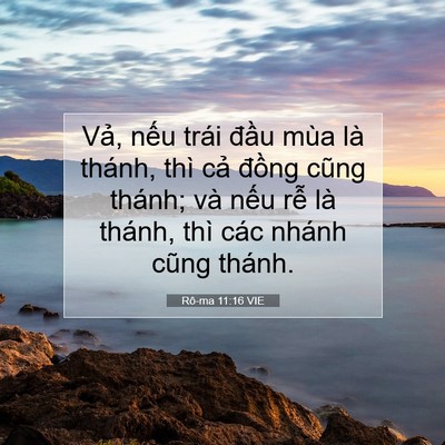 Picture 07 - Rô-ma 11:16 VIE - Vả, nếu trái đầu mùa là thánh, thì - Bible Verse Picture