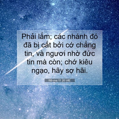 Picture 07 - Rô-ma 11:20 VIE - Phải lắm; các nhánh đó đã bị cắt - Bible Verse Picture