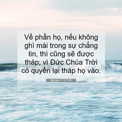 Picture 07 - Rô-ma 11:23 VIE - Về phần họ, nếu không ghì mài trong - Bible Verse Picture