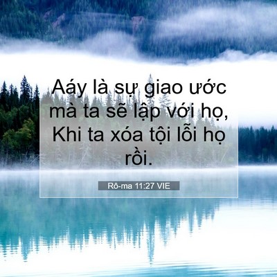 Picture 07 - Rô-ma 11:27 VIE - Aáy là sự giao ước mà ta sẽ lập với - Bible Verse Picture