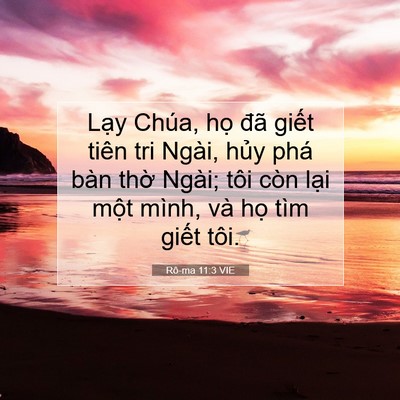 Picture 07 - Rô-ma 11:3 VIE - Lạy Chúa, họ đã giết tiên tri Ngài, - Bible Verse Picture