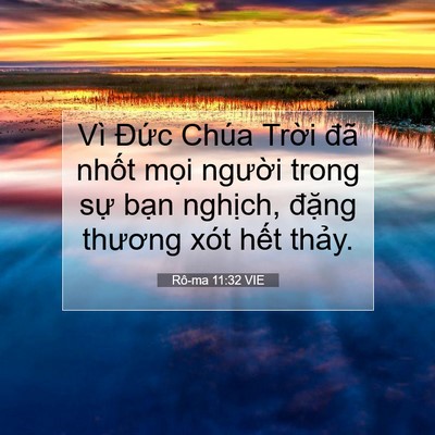 Picture 07 - Rô-ma 11:32 VIE - Vì Đức Chúa Trời đã nhốt mọi - Bible Verse Picture