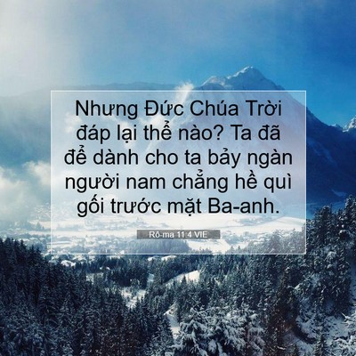Picture 07 - Rô-ma 11:4 VIE - Nhưng Đức Chúa Trời đáp lại thể - Bible Verse Picture