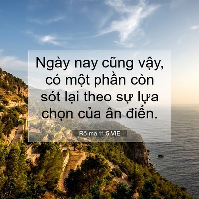 Picture 07 - Rô-ma 11:5 VIE - Ngày nay cũng vậy, có một phần còn sót - Bible Verse Picture