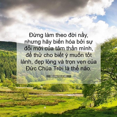 Picture 07 - Rô-ma 12:2 VIE - Đừng làm theo đời nầy, nhưng hãy - Bible Verse Picture