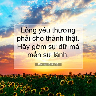 Picture 07 - Rô-ma 12:9 VIE - Lòng yêu thương phải cho thành thật. - Bible Verse Picture