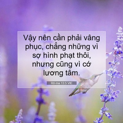 Picture 07 - Rô-ma 13:5 VIE - Vậy nên cần phải vâng phục, chẳng - Bible Verse Picture