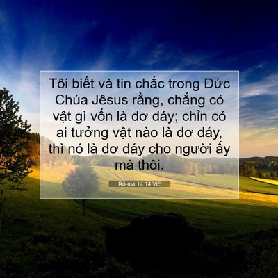 Picture 07 - Rô-ma 14:14 VIE - Tôi biết và tin chắc trong Đức Chúa - Bible Verse Picture