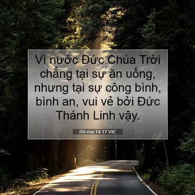 Picture 07 - Rô-ma 14:17 VIE - Vì nước Đức Chúa Trời chẳng tại - Bible Verse Picture