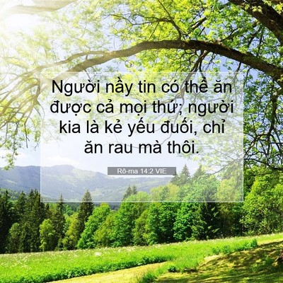 Picture 07 - Rô-ma 14:2 VIE - Người nầy tin có thể ăn được cả - Bible Verse Picture