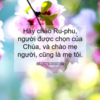 Picture 07 - Rô-ma 16:13 VIE - Hãy chào Ru-phu, người được chọn của - Bible Verse Picture