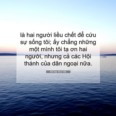 Picture 07 - Rô-ma 16:4 VIE - là hai người liều chết để cứu sự - Bible Verse Picture