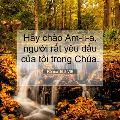 Picture 07 - Rô-ma 16:8 VIE - Hãy chào Am-li-a, người rất yêu dấu - Bible Verse Picture