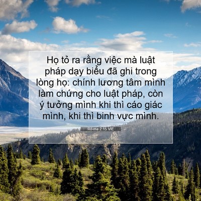 Picture 07 - Rô-ma 2:15 VIE - Họ tỏ ra rằng việc mà luật pháp dạy - Bible Verse Picture