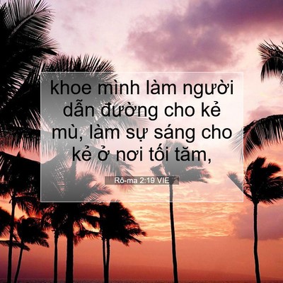 Picture 07 - Rô-ma 2:19 VIE - khoe mình làm người dẫn đường cho kẻ - Bible Verse Picture